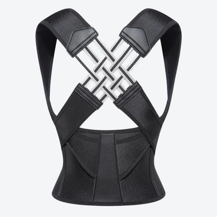 Wellsphere™ Back Support for Everyday Comfort