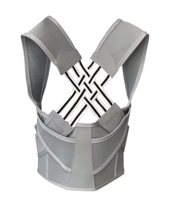 Wellsphere™ Back Support for Everyday Comfort